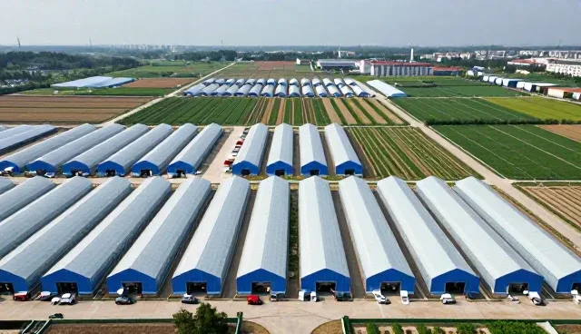 方案设计帮助客户实现软件目标
